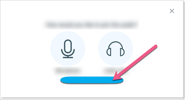 Dial_In_Info_from_Audio_Options_Box.png