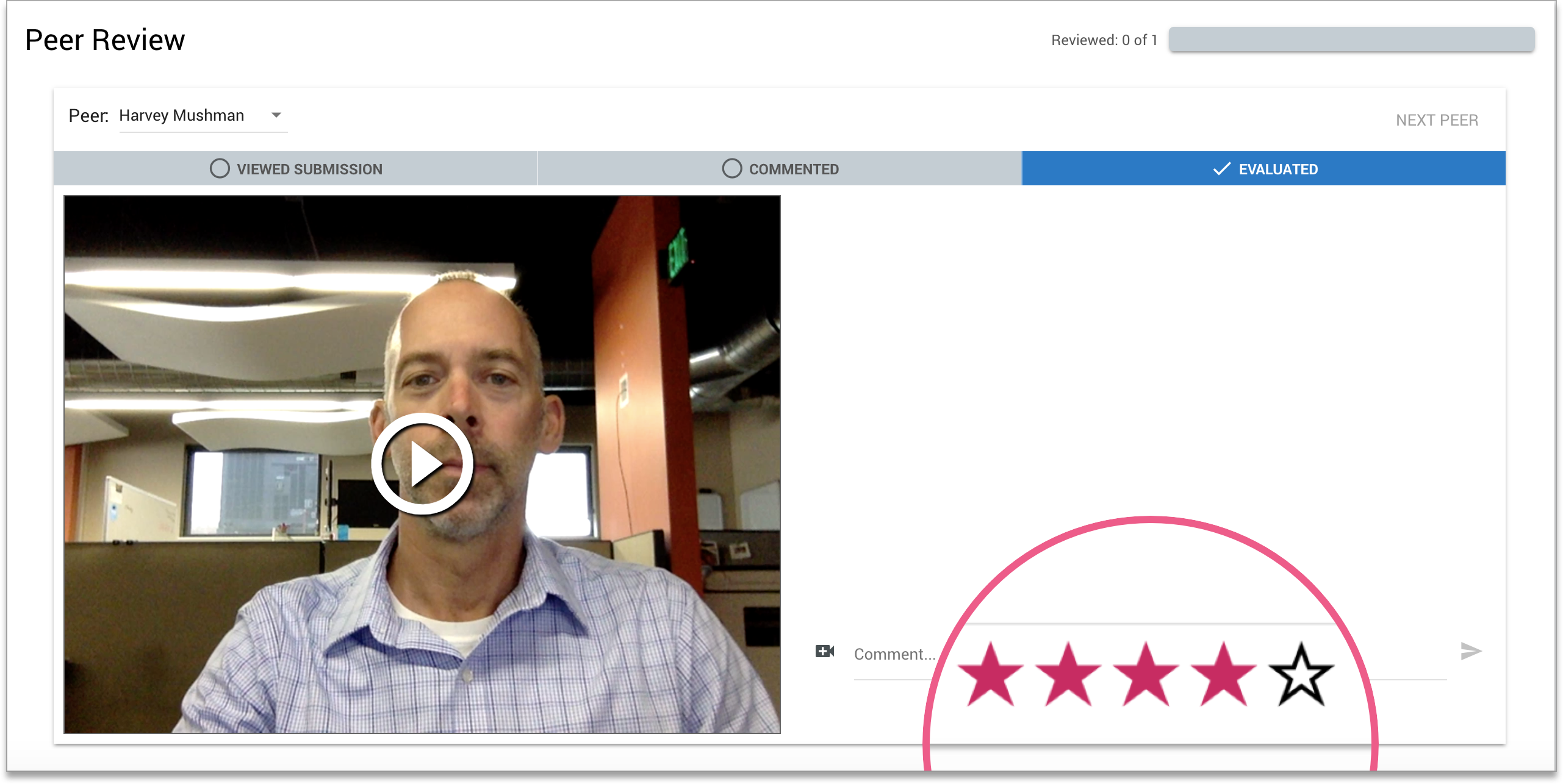 5-Star_Peer_Review_EN.png