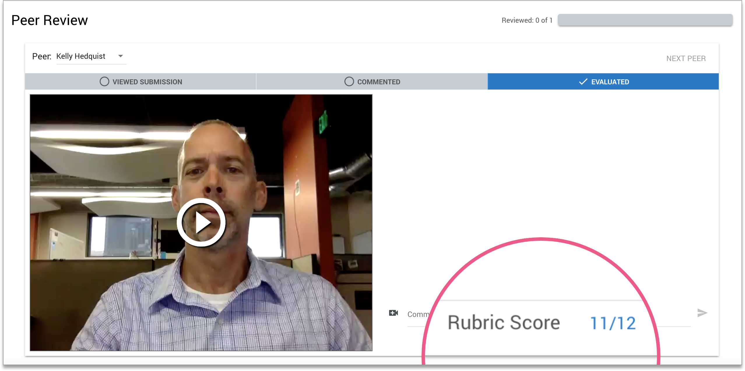 Rubric_Peer_review_EN.png