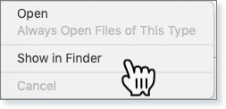 Show_in_finder.png